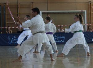 Hoher Besuch, Lehrgang und DAN Prüfung