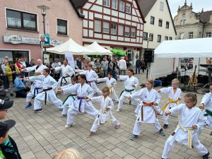 Herbstmarkt Schnaittach – Karate