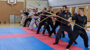 Selbstverteidigungs & Kampfsporttage Budo
